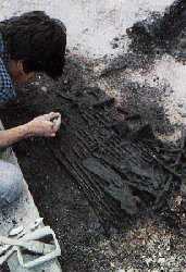 Fouille d'une nasse msolithique  Noyen-sur-seine. Cl D. Mordant.