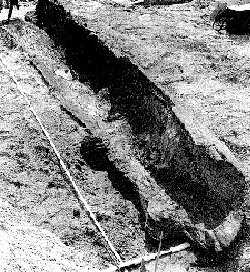 Pirogue msolithique de Noyen-sur-Seine. Cl. D. MORDANT.