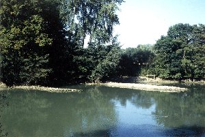 Chausses du moulin Notre-Dame,  Ussy-sur-Marne (Clich O. Bauchet, GRAS).